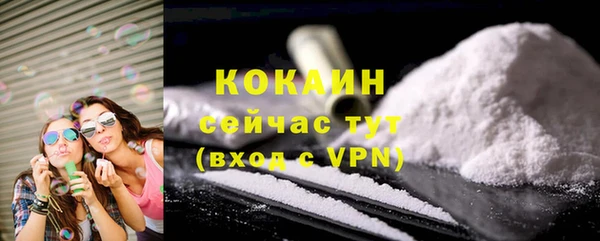 гидра Богородицк
