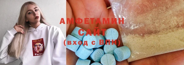 гидра Богородицк