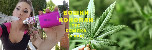 соль ск Богданович