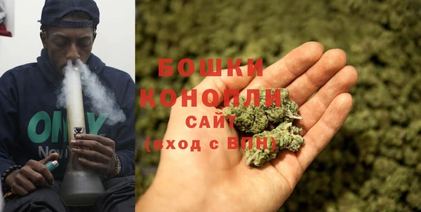 соль ск Богданович