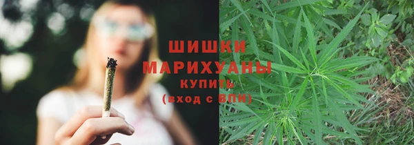гидра Богородицк