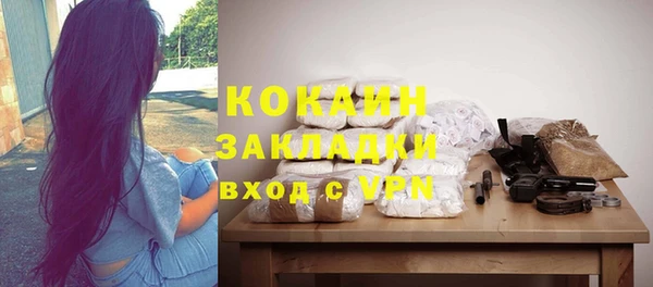 гидра Богородицк