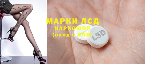 гидра Богородицк