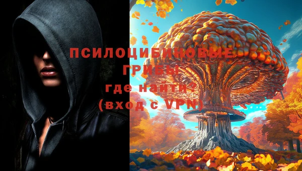 гидра Богородицк