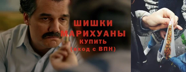 соль ск Богданович