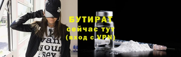гидра Богородицк