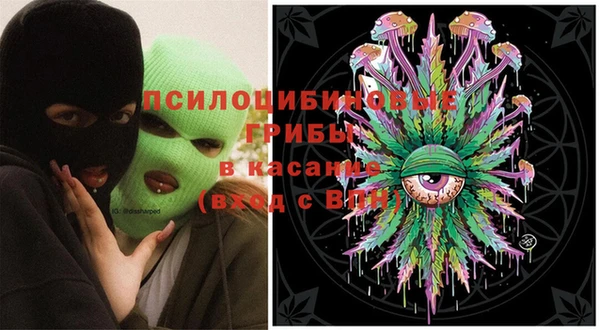соль ск Богданович