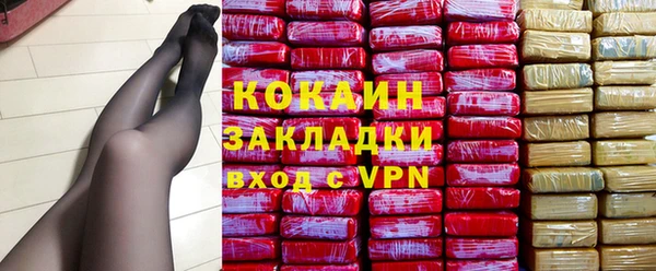 гидра Богородицк