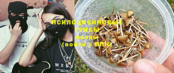 хмурый Богородск