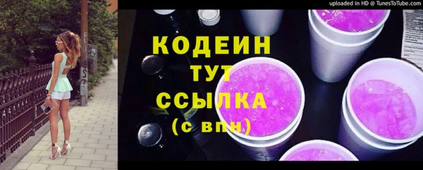гидра Богородицк