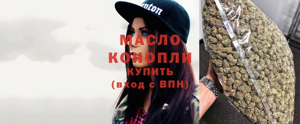 гидра Богородицк