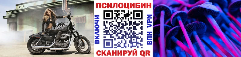 где найти наркотики  Новороссийск  Псилоцибиновые грибы MAGIC MUSHROOMS 
